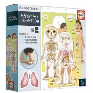 EL CUERPO HUMANO
